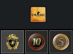 CONTA CSGO PRIMA+MEDALHA DE 10 e 5 ANOS+INSÍGNIA DE LEALDADE - Counter Strike