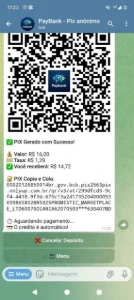 Bot de Pix (Bot Bank) para Telegram + Painel Admin - Outros