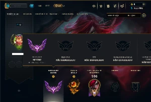 Mestre com 30 Champs e 7 Skins ( HONRA 5 )