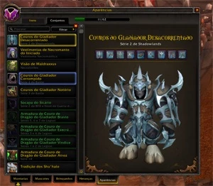 shadowlands Druid full pvp mage tower sets elite - Blizzard
