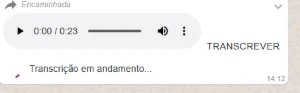 Whaticket com Transcrição de Áudio e Flow Builder Beta - Outros
