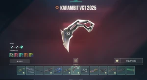 Conta de Valorant 5.900R$ Gastos - Outros