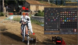 Guardiã 63, 281 pa; 242 dp - Black Desert