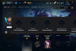 Unranked com 80 Champs e 101 Skins ( MAIN SUP ) - League of Legends LOL