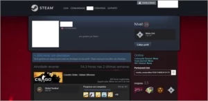 CONTA STEAM NÍVEL 23