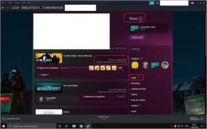 CONTA AK CRUZADA - 700 HORAS - PRIME - INVENTÁRIO BOM - Counter Strike CS