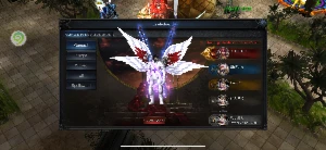 Mu dragon Havoc conta top - MU Online