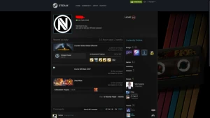 Conta Steam nv 125 + CS:GO 2k horas