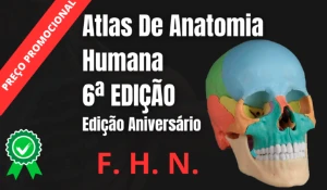 Atlas De Anatomia Humana - Edição Aniversário +Barato - Serviços Digitais