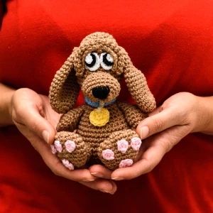 Cachorro Marrom em Amigurumi - Artesanato e Personalizados