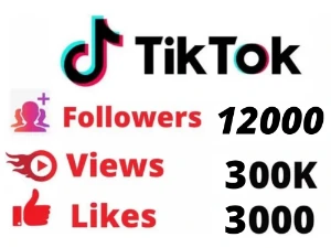 O Melhor Metodo De Ganhar Views No Tiktok - Social Media