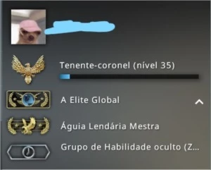 Conta Global com Prime CSGO - Counter Strike
