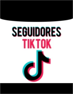Seguidores no TikTok - Others