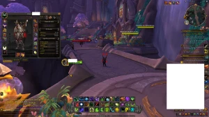 Conta de World Of Warcraft para colecionadores- Dragonflight - Blizzard