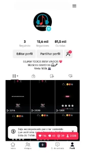 Conta Tiktok +15K Seguidores Engajada - Pronta Pra Monetizar - Redes Sociais