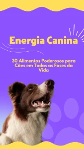 Nutrição Canina - Outros