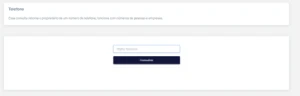 Painel de consultas - Sites, Lojas e Sistemas Prontos Sites e Scripts