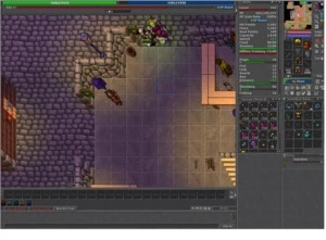 ROYAL PALADIN 333 (DESCUBRA) E ELDER DRUID 230 GENTEBRA - Tibia