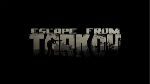 Escape From Tarkov conta standard