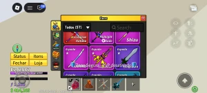 Conta blox fruit rara p prr leia descrição - Roblox