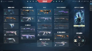 Conta valorant com muita skin rara