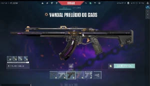 Conta valorant com muita skin rara
