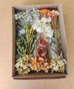 Caixa com Flores e Folhagens Desidratadas com 11 espécies - Artesanato e Personalizados
