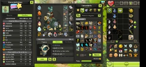 Conta 4 pj 200 9.2 mil Sucessos (Brutas) - Dofus