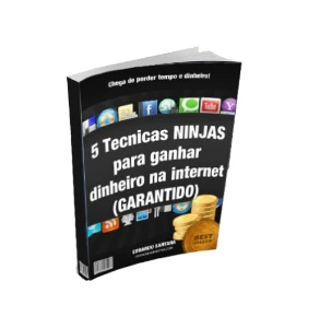 5 Técnicas Ninjas para ganhar dinheiro na internet GARANTIDO