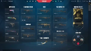 Conta Valorant Smurf Full Acesso Karambit Sublime E Mais