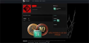 CONTA OLD STEAM 16 ANOS MEDALHAS 5 E 10 ANOS +300 JOGOS PG - Counter Strike CS
