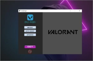 AIM BOT + AIM SHOOT + SPOOFER (Valorant)