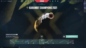 Conta Valorant Skins Champions 2021 e 2024 +3k GASTOS