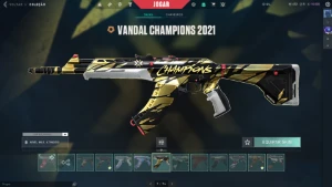 Conta Valorant Skins Champions 2021 e 2024 +3k GASTOS