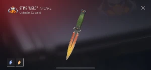 Conta Standoff 2