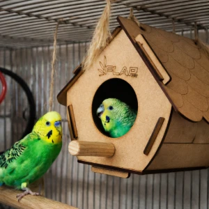 Casinha para Pássaros - Flap Pet - Artesanato e Personalizados