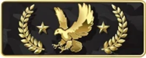CONTA COM CS2 CSGO PRIME ÁGUIA2 LVL 12 GC 8.670 HORAS DE CS - Counter Strike
