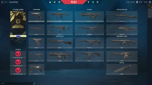 10 Unidades De Conta Full Acesso, Sem Skins - Valorant