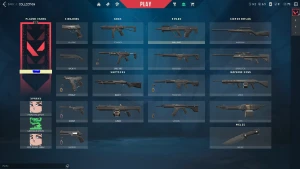 10 Unidades De Conta Full Acesso, Sem Skins - Valorant