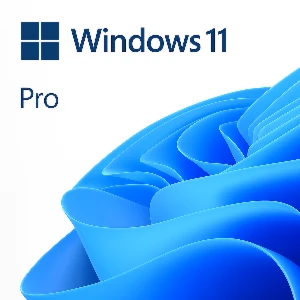 Windows 11 Pro