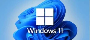 Windows 11 Pro - Softwares e Licenças