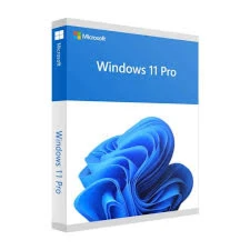 Windows 11 Pro - Softwares e Licenças