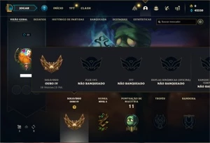Conta ouro 4 com 25 Champs e 1 Skin + 13 Fragmentos - League of Legends LOL