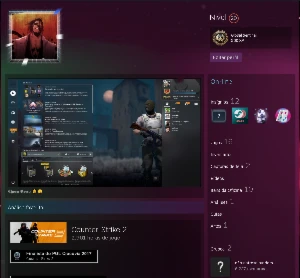 ✨ Conta Cs2 Modo Premier Ativo✨ - Counter Strike
