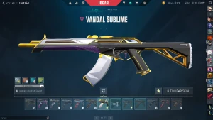 Conta De Valorant Com Varias Skins 650$$