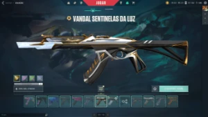 Conta valorant com bastante skins
