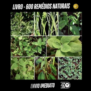 Livro - 600 remédios naturais - Outros