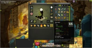 CONTA CRA 199 FULL ITENS + KAMAS - Dofus
