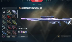 conta de valorant  com itens raros champios barata