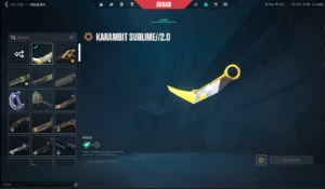 conta de valorant  com itens raros champios barata